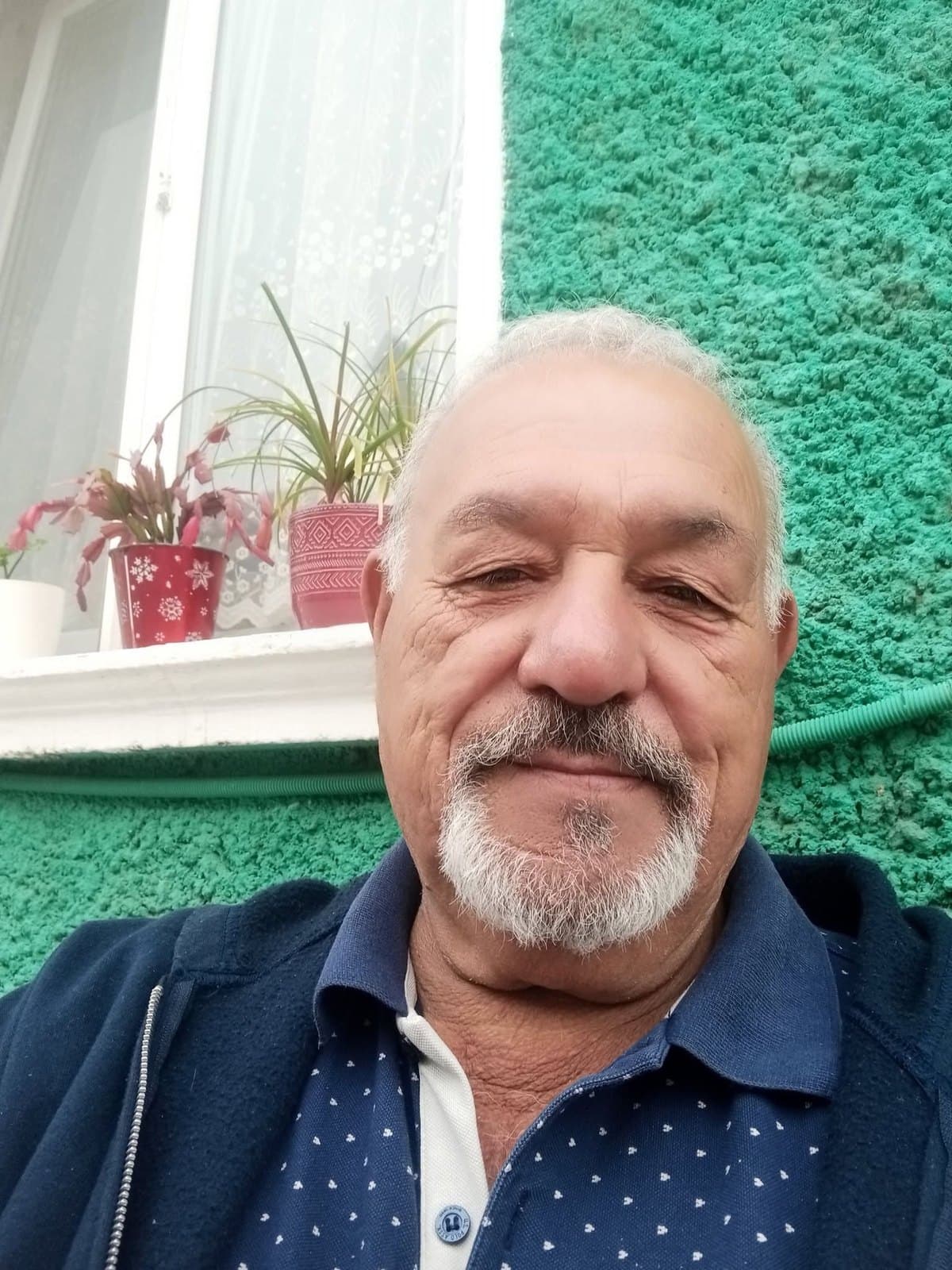 Николай Асенов, Видин
